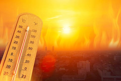 Extreme heat alert in Punjab