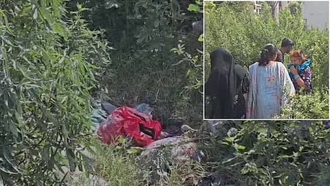 Fetus found in garbage heap in Punjabi Bagh, Jalandhar