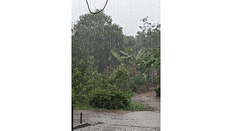 Rain in Punjab