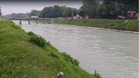 Alleged jump in the canal