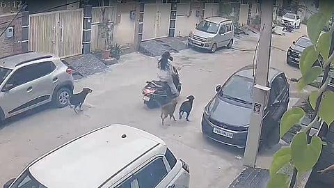 CCTV footage of the accident