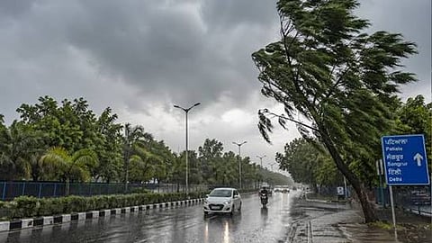 Light rain likely