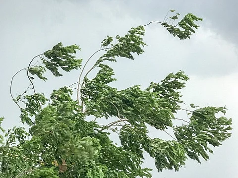 Strongest winds in 14 yrs batter Latvian capital