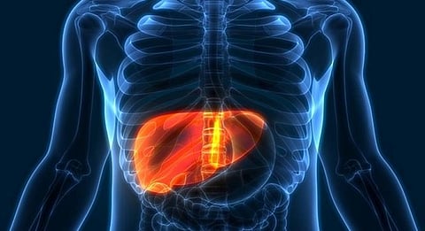 Sweden reports 9 cases of unexplained acute hepatitis in children