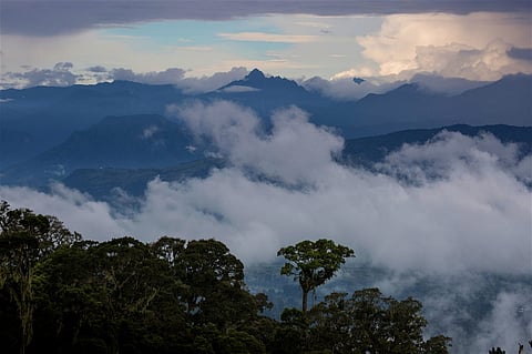Call to set date for UN nature summit delayed 4 times