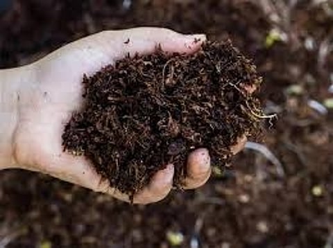 Disputed Chinese fertiliser firm threatens tough action against SK
