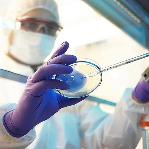 UK Lassa fever death shows rise in global infectious disease risk