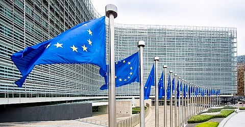 EU excess mortality up 26.5% in Nov 2021