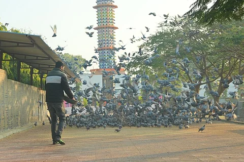 Seven storey tower for birds comes up in Rajathan's Nagaur