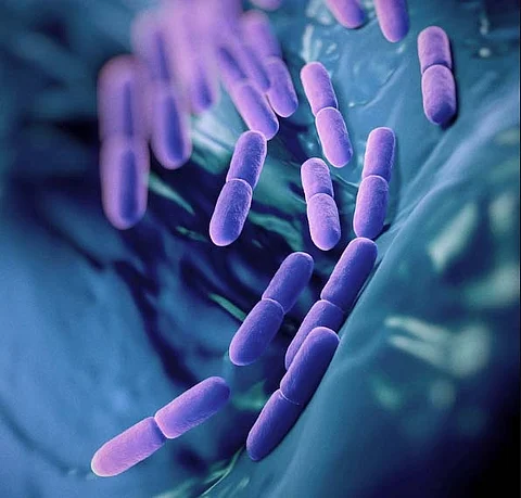 Next-gen probiotic that provides hope for longevity developed in India
