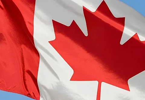 Canada's allure: Impacting Punjab's technical colleges with 55% seats vacant