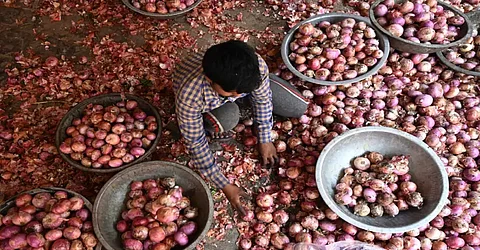 Why Onion Prices are skyrocketing in India after Navratri 2023? Explained