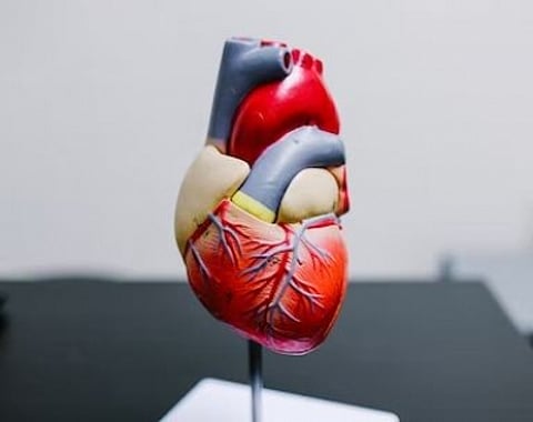 New gene therapy can cut 'bad' cholesterol by 50% with a single dose