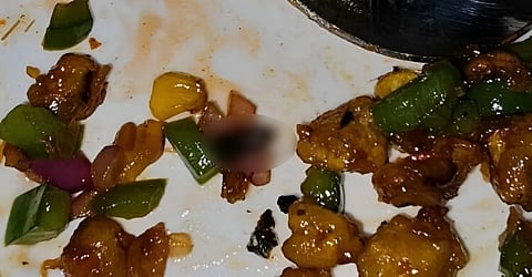 "Cockroach Catastrophe Unveiled: Chandigarh Club Faces Investigation After Insects Infest Birthday Feast"