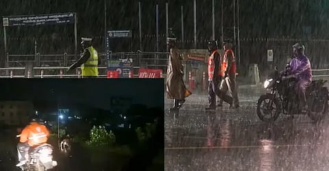 Michaung Cyclone: Crocodile spotted crossing road in Chennai's Perungalathur road, Video Viral
