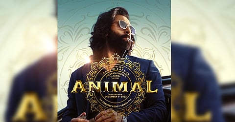 When and where to watch Animal on OTT?