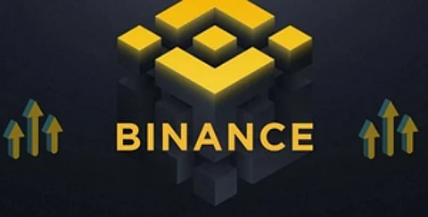 Govt blocks URLs of Binance, 8 other crypto firms for illegal ops in India