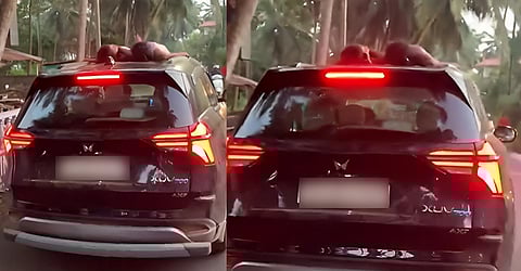 Goa tourist driving a XUV with kids on the roof goes viral; people demand strict action