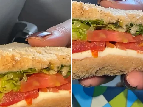 Indigo flight passengers to Mumbai from Delhi find insect in burger on board; Video viral