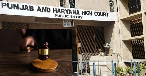 HC calls for year-late Municipal Corporation elections schedule from Punjab Govt. in one week