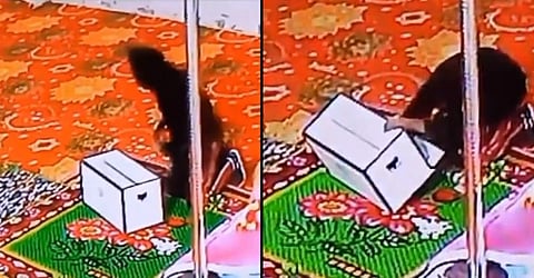 Phillaur News, Gurudwara Phillaur, Jalandhar News, Ludhiana News, Local News, Thief in Gurudwara Phillaur, Phillaur Robbery, Jalandhar Robbery