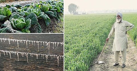 How dangerous is Ground Frost? IMD issues RED ALERT for the first time in Punjab