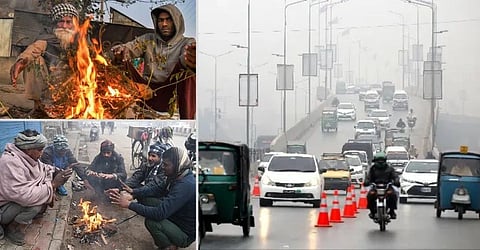 Punjab Cold, Punjab Frost, Punjab Weather, Punjab Weather Update, Punjab News