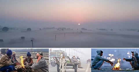 Weather Update, Weather In Punjab, Cold in Punjab, Punjab Winter, Weather News Local, Weather Department