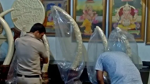 Who is real-life Mala Jogi? Amazon Prime's Poacher True Story explained