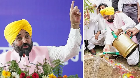 CM exhorts people to transform plantation drive into a mass movement