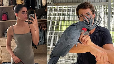 Who is Walker Blanco, Ananya Pandey, Ananya Pandey Boyfriend, Ananya Pandey Dating, Ananya Pandey Walker Blanco Dating, All about Walker Blanco, Ananya Pandey Walker Blanco Love story