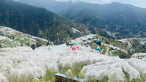 India Richest Village, Asia Richest Village, Which is India Richest Village, Which is Asia Richest Village, Madavag, Madavag Asia Richest Village, Madavag India Richest Village, Madavag Apple Orchards, Madavag Farmers Rich reason