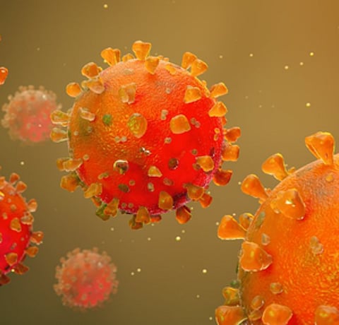 Know all about new XEC Covid variant identified in 15 countries