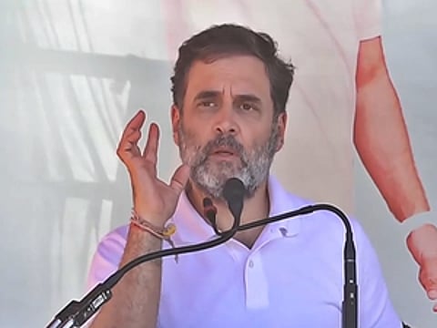 Rahul Gandhi to campaign in Haryana after Congress manages truce in state unit