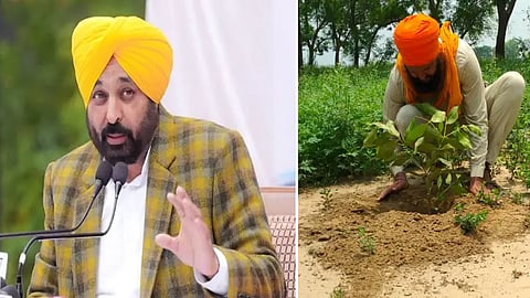 Citrus Estate Hoshiarpur, Hoshairpur Lab Soil Testing, Hoshairpur Punjab Farmers Soil Testing Lab, Bhagwant Mann Citrus Estate Hoshiarpur Lab