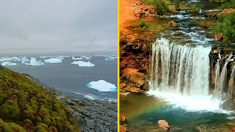 Sahara Desert Turning Green, Antarctica turning green