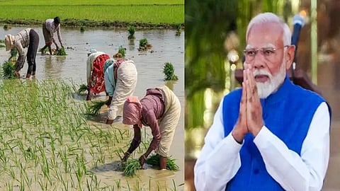 PM Kisan, PM Kisan Rs 20000 crore, PM Kisan 2024 Rs 2000 Farmers