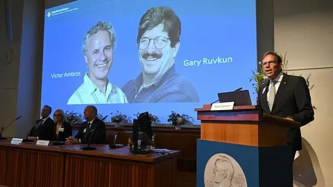 What is MicroRNA? Victor Ambros and Gary Ruvkun’s discovery wins Nobel Prize in Medicine
