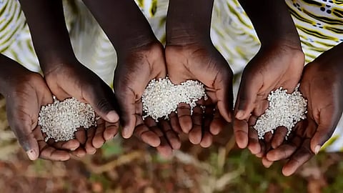 World Food Day, World Food Day 2024, UN World Food Day 2024, UN Food Day, 2024 World Food Day, World Food Day Hunger Index, World Food Day 2024 Hunger Index, Hunger Index India Ranking World Food Day 2024