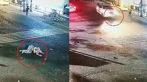 Woman gets hit by SUV outside Shri Devi Talab Mandir in Jalandhar; CCTV camer captures tragic incident