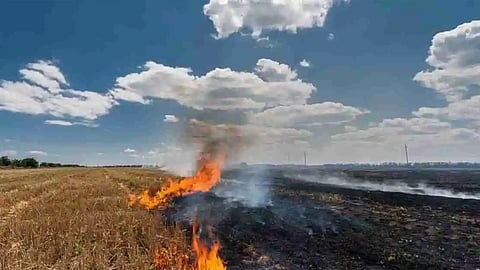 AAP's Punjab unit slams Centre for doubling fine on stubble burning