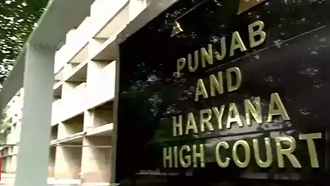P&H HC disposes plea of student who allegedly submitted AI-generated assignment