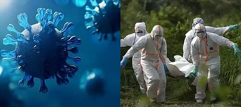 Disease X, Disease X Congo, Congo Disease X, What is Disease X, Disease X Reason, Disease X Cause