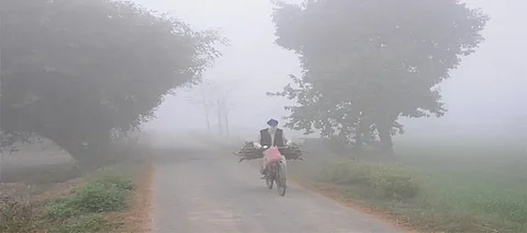 Punjab Winter, Punjab Coldwave, Punjab 0°C, Zero Temperature, Jalandhar 1°C, Punjab Yellowalert, Punjab Westerndisturbance