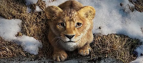 Mufasa The Lion King OTT release: Know when & where to watch SRK-dubbed Disney film online?