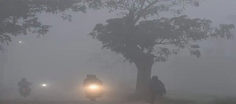Cold wave alert in Punjab and Chandigarh: temperatures to drop 3°, visibility to hit zero