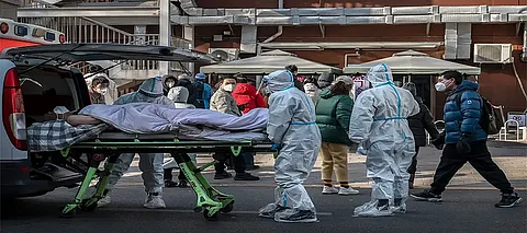 China New Virus, Human Metapneumovirus, HMPV, HMPV deadlier than COVID