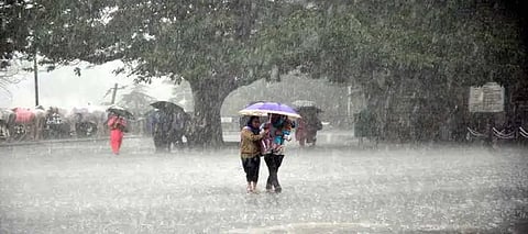 Punjab Winter, PunjabWinter Rain, Jalandhar WinterRain, Ludhiana WinterRain, Punjab JanuaryRain 2025, Jalandhar RainPrediction