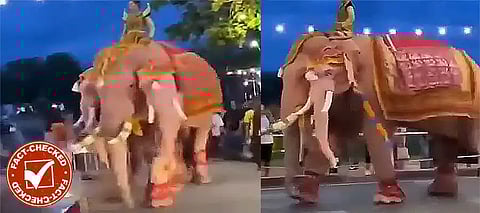 Three headed elephant, Three headed elephant Mahakumbh, Three headed elephant Prayagraj, ThreeHeadedElephant Mahakumbh2025, Mahakumbh2025 Prayagraj ViralVideo