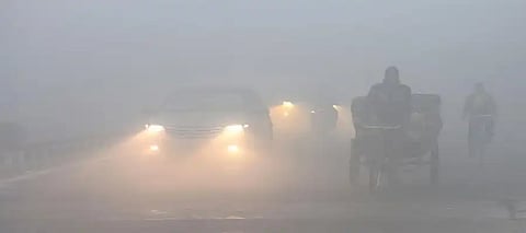 Weather alert: Know when dense fog will blanket Punjab in the coming days?